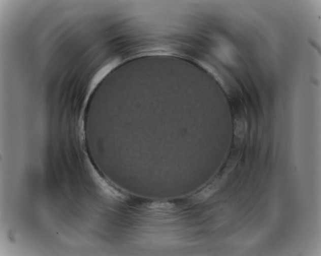 X0000097821466200803141130