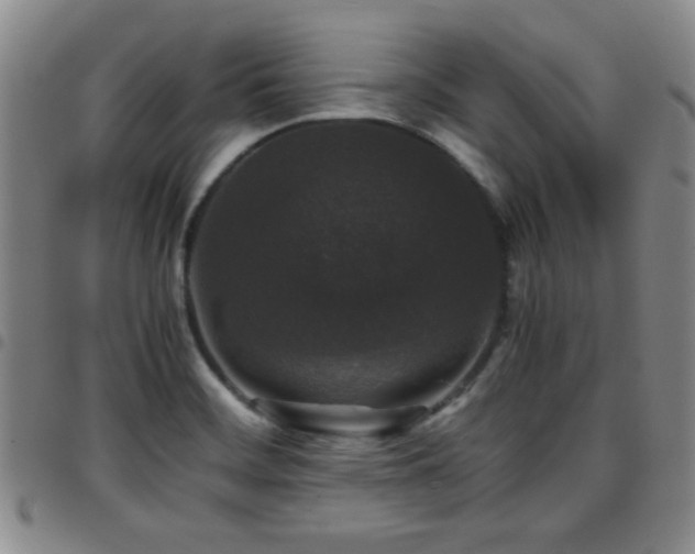 X0000097821468200803141130