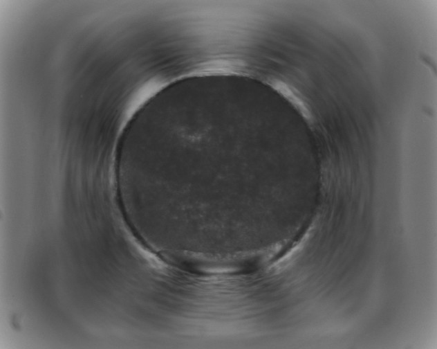 X0000097821469200803141130