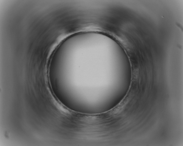 X0000097821470200803141130