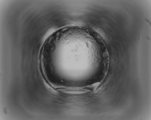 X0000097821471200803141130