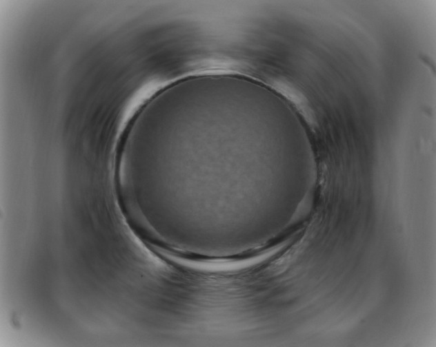 X0000097821472200803141130