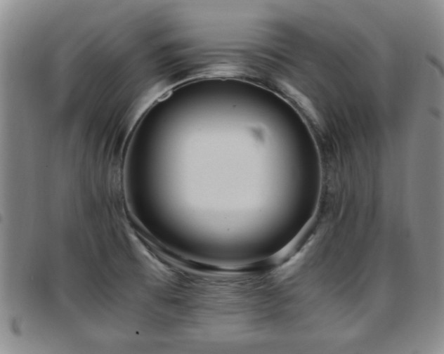 X0000097821473200803141130