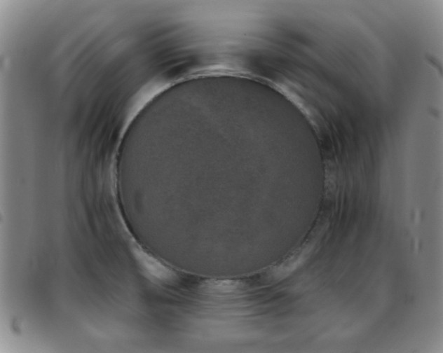 X0000097821474200803141130