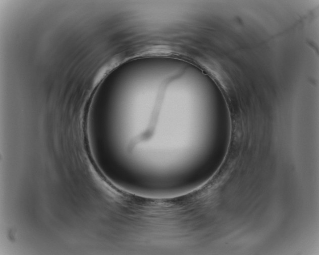 X0000097821475200803141130