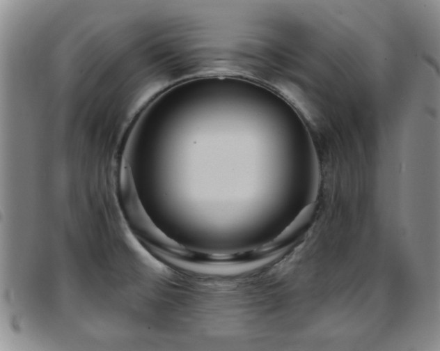 X0000097821476200803141130