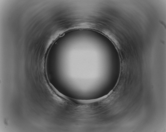 X0000097821477200803141130