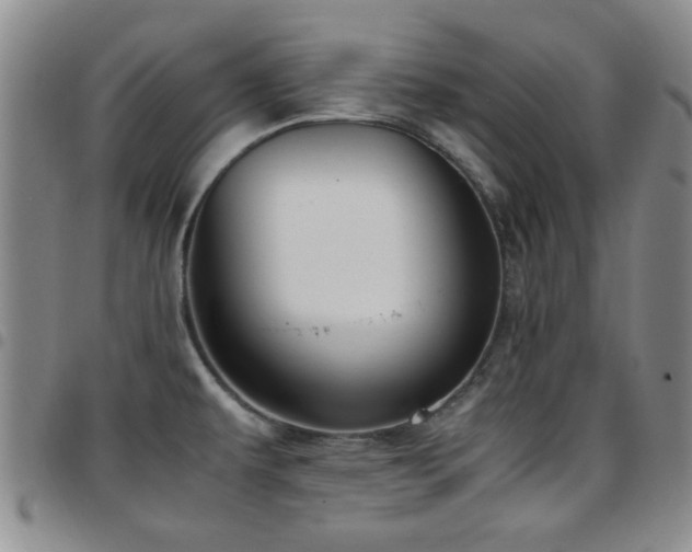 X0000097821479200803141130