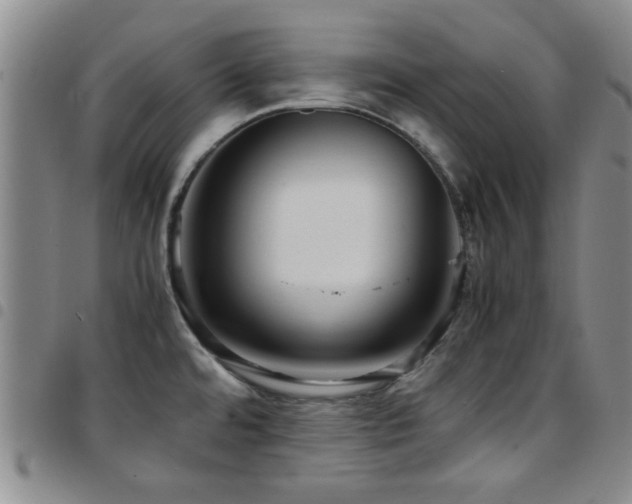 X0000097821480200803141130