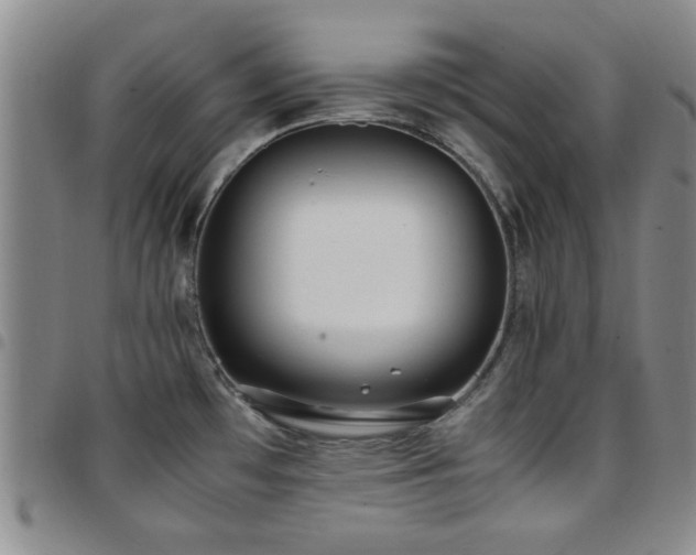 X0000097821481200803141130