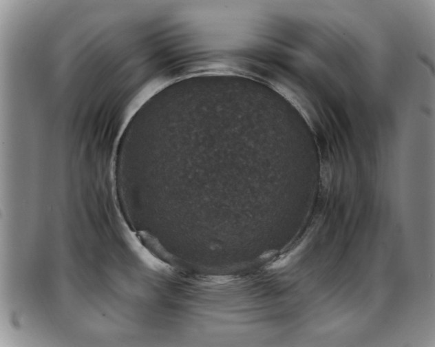 X0000097821482200803141130