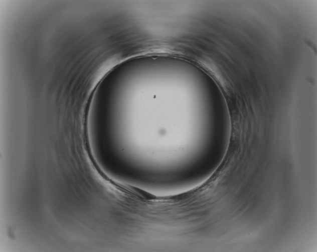 X0000097821483200803141130