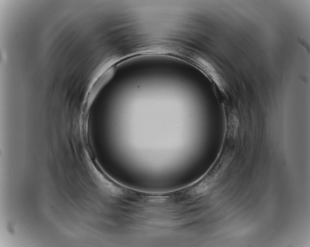 X0000097821484200803141130