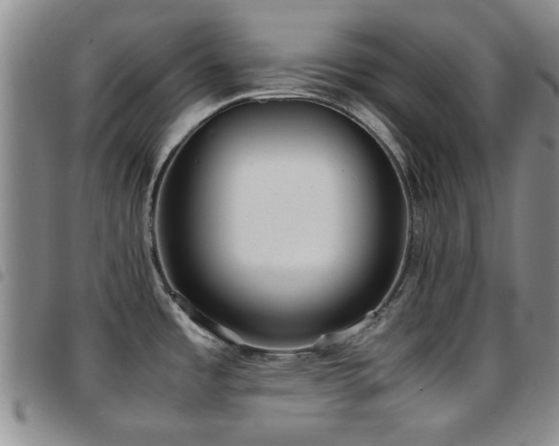 X0000097821485200803141130