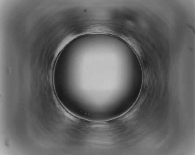 X0000097821486200803141129