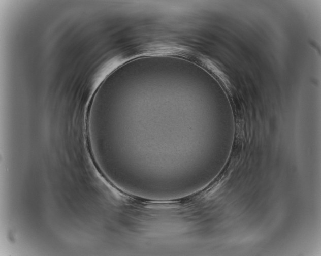 X0000097821487200803141129