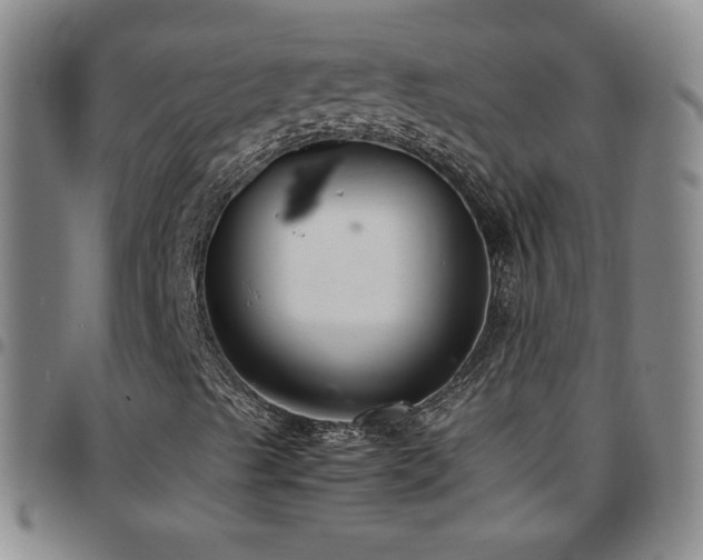 X0000097821489200803141129