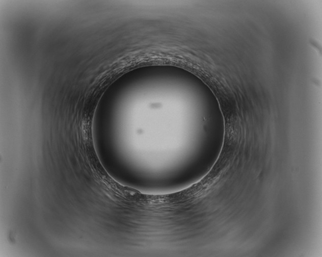 X0000097821490200803141129