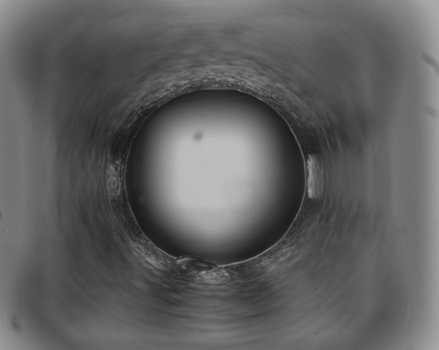 X0000097821491200803141129