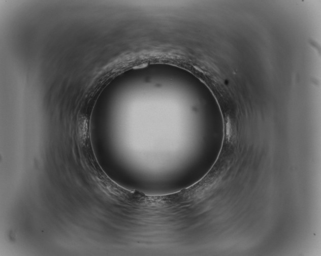 X0000097821492200803141129