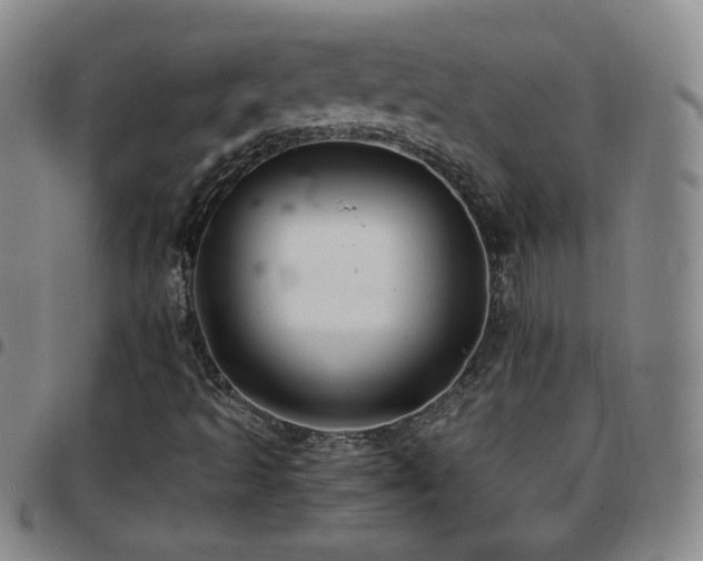 X0000097821493200803141129