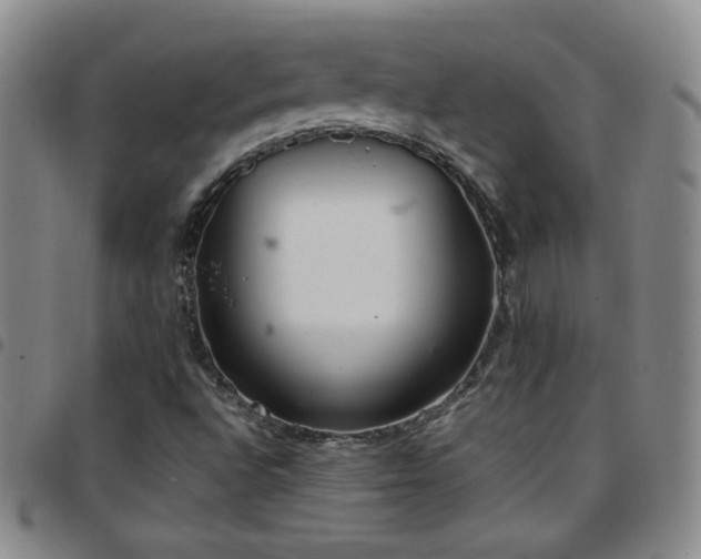 X0000097821496200803141129