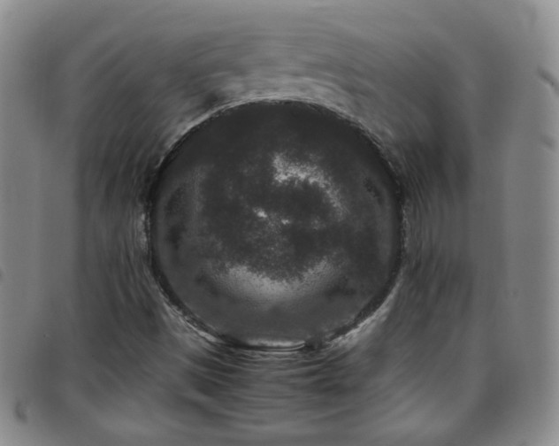 X0000097821497200803141129