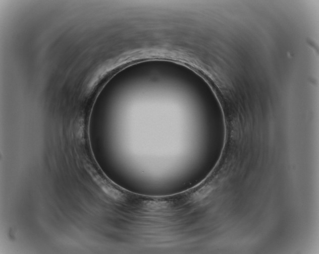 X0000097821499200803141129