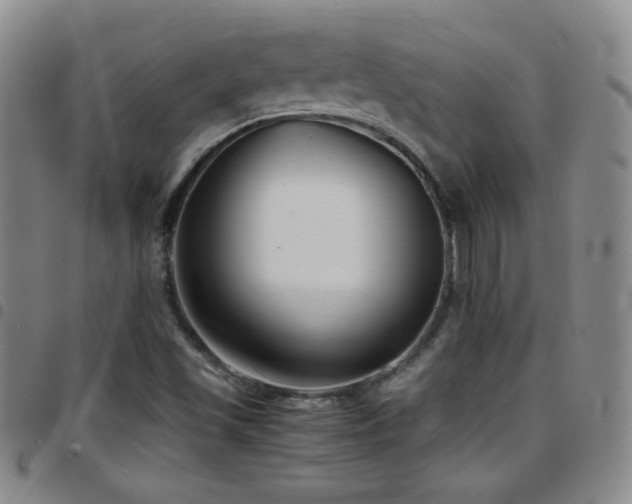 X0000097821501200803141129