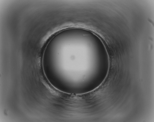 X0000097821503200803141129