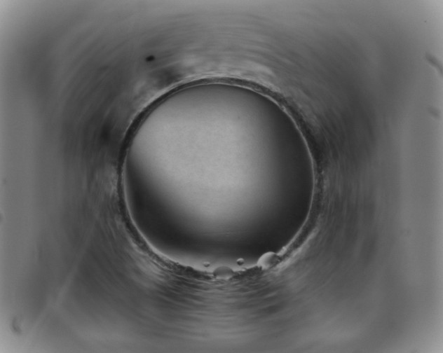 X0000097821505200803141129