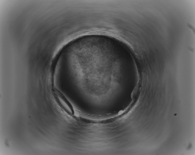 X0000097821506200803141129