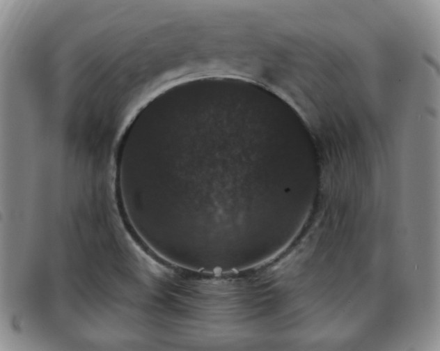 X0000097821508200803141129