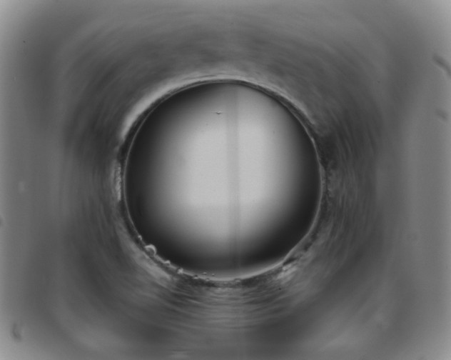 X0000097821510200803141129