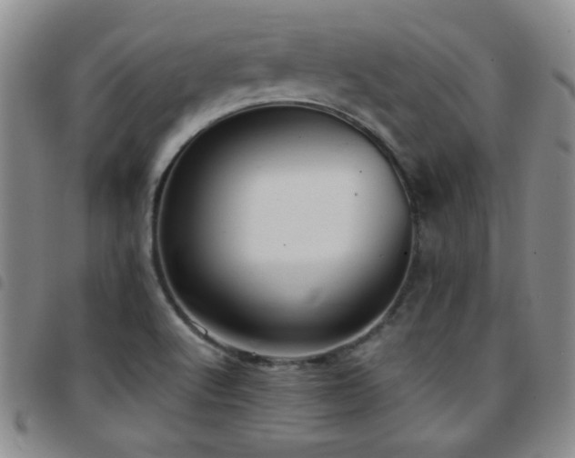 X0000097821512200803141129