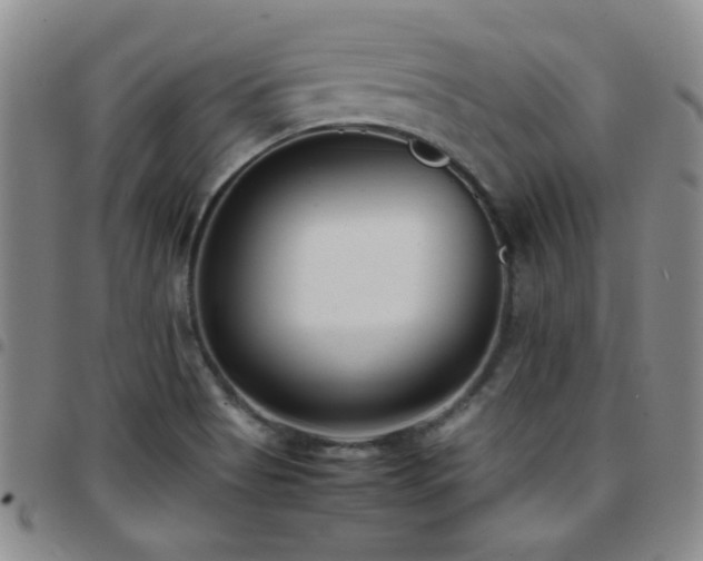 X0000097821513200803141129