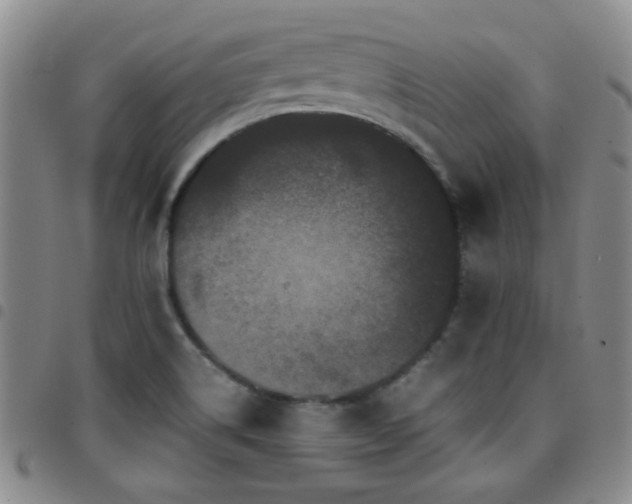 X0000097821514200803141129