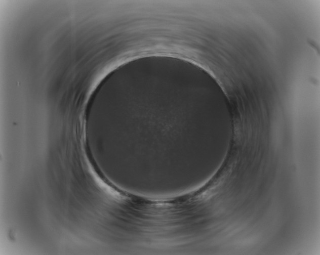 X0000097821515200803141129