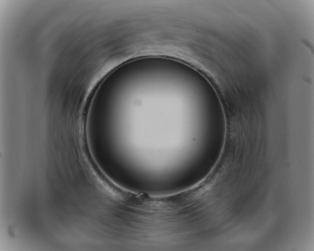 X0000097821517200803141129