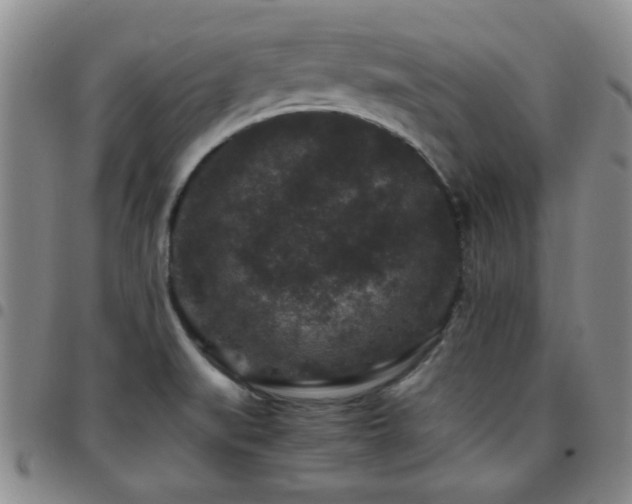 X0000097821519200803141129