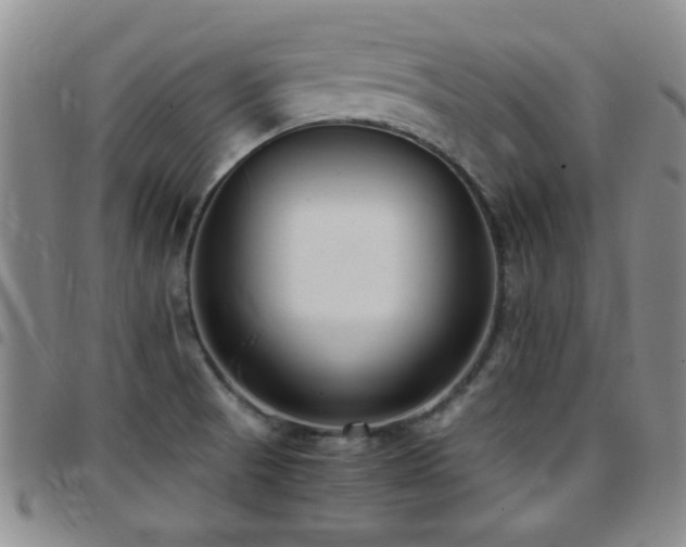 X0000097821521200803141129