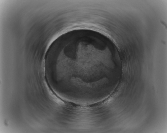 X0000097821522200803141129