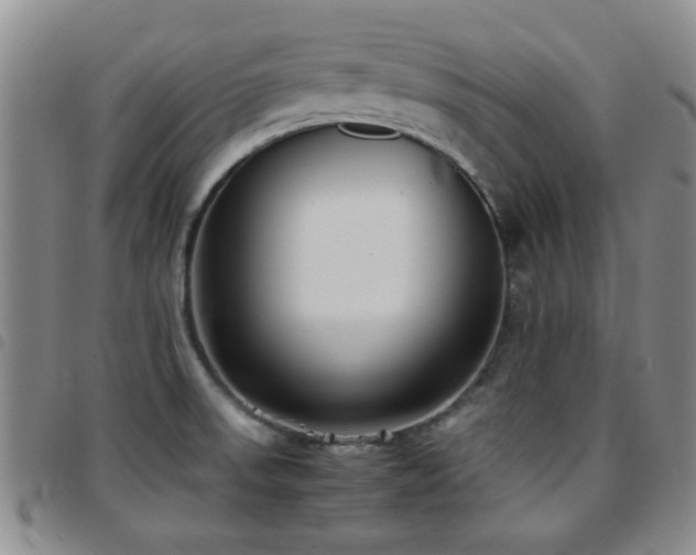 X0000097821523200803141129