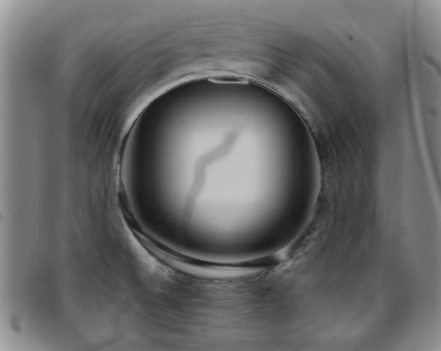 X0000097821524200803141129