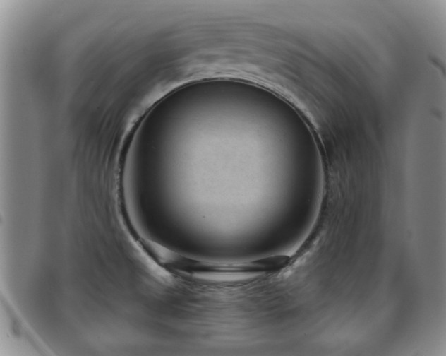 X0000097821525200803141129