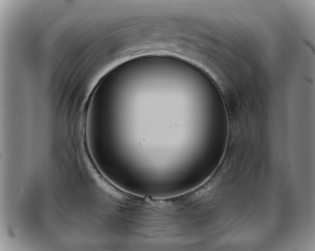 X0000097821526200803141129