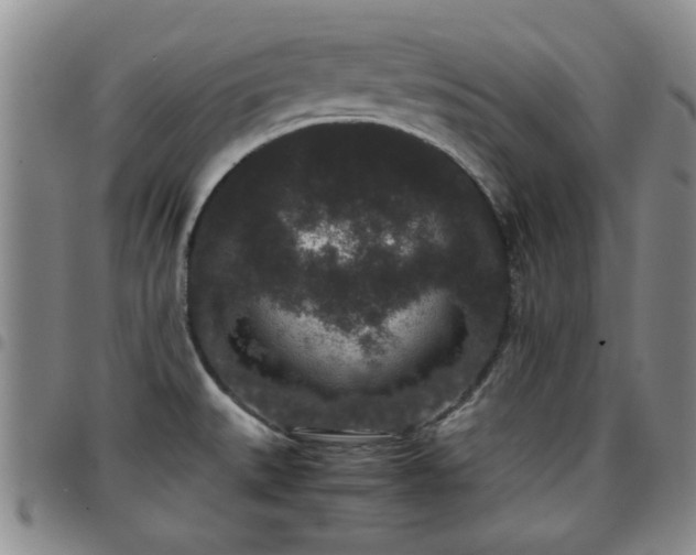 X0000097821527200803141129