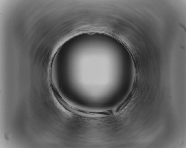 X0000097821528200803141129