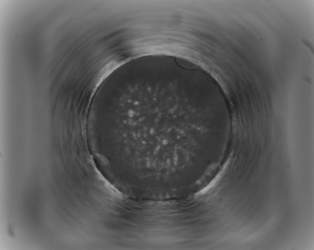 X0000097821529200803141129