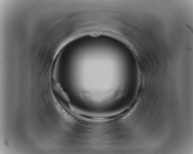 X0000097821530200803141129
